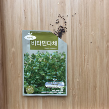 BFA새싹씨앗-비타민다채